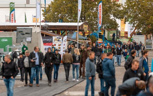 Belebtes Messegelände mit Menschen zwischen Ständen und Zelten. Im Hintergrund Bäume, Banner und Hütten. 