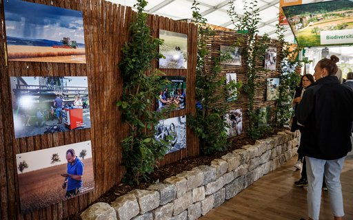 Ausstellungsbereich mit Holztafel und Fotos, dekoriert mit Kletterpflanzen auf Steinsockel. Mehrere Personen betrachten die Bilder. Im Hintergrund Schilder mit „Biodiversität“ und „Essen & Trinken“.