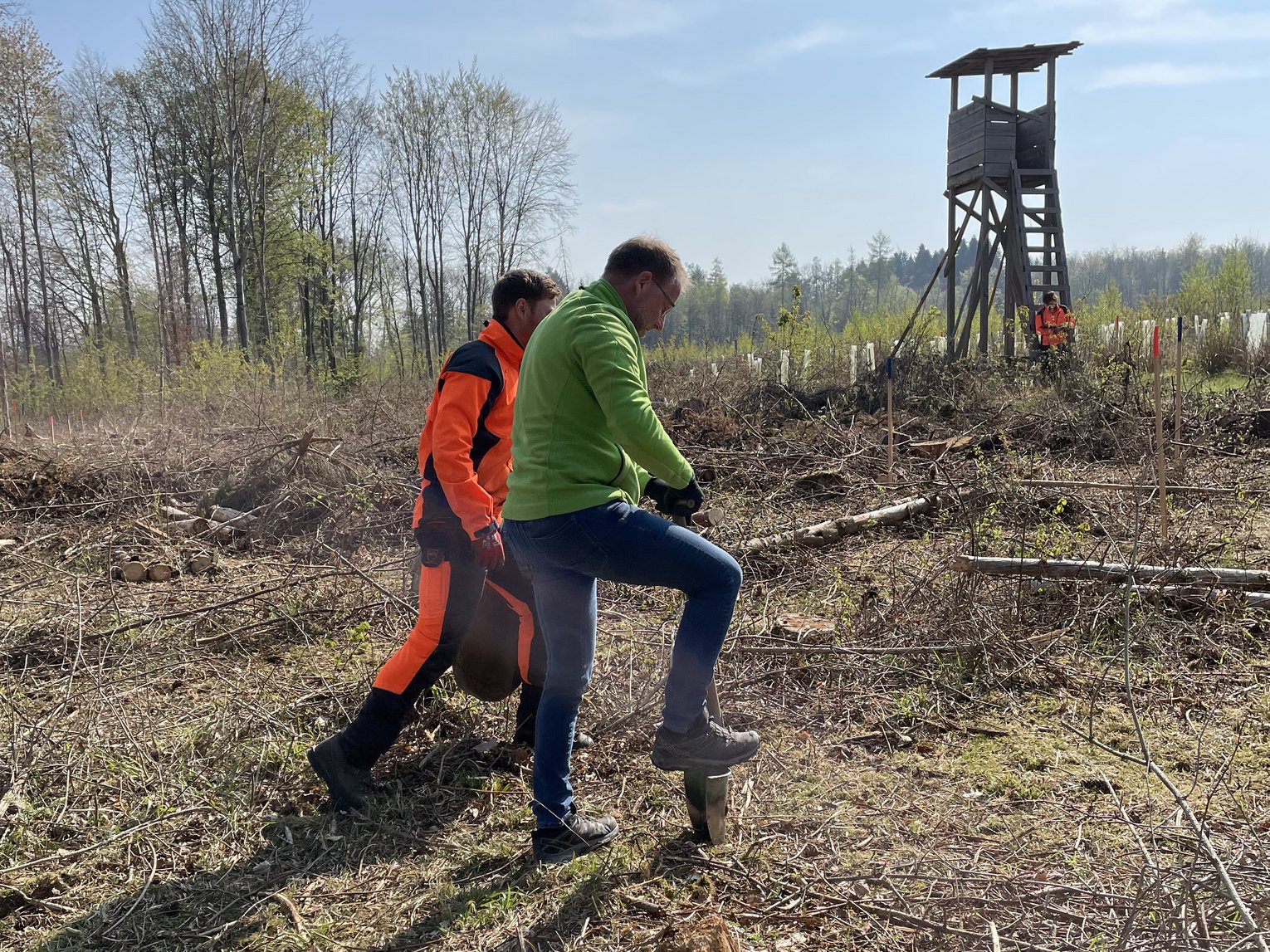 Zwei Männer auf einer abgeholzten Waldfläche. Einer der Männer sticht mit einem Spaten in den Boden. 