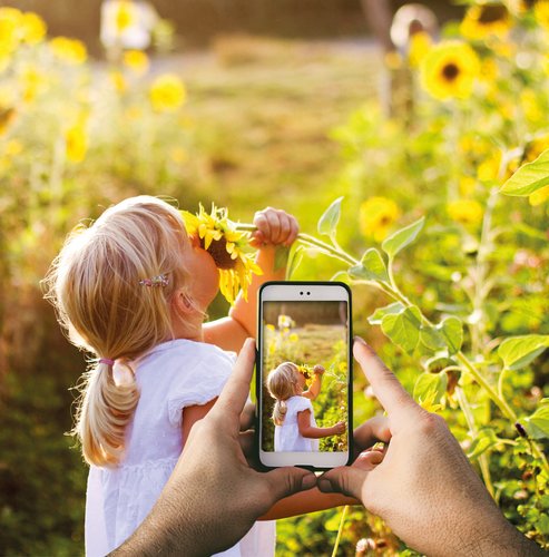 Ein Mädchen steht in einem Sonnenblumenfeld und riecht an einer Sonnenblume. Im Vordergrund sind zwei Hände zu sehen, die die Szene mit einer Smartphone-Kamera festhalten. 
