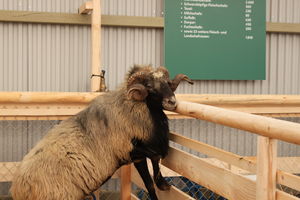  BWagrar
Landwirtschaftliches Hauptfest