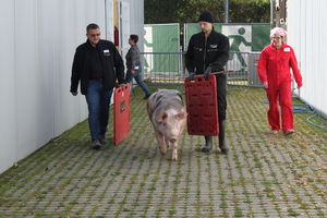  BWagrar
Landwirtschaftliches Hauptfest