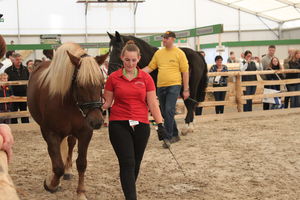  BWagrar
Landwirtschaftliches Hauptfest