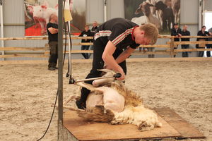 BWagrar
Landwirtschaftliches Hauptfest
